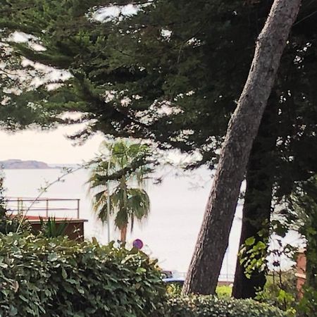 50M Plage T2 Grande Terrasse Vue Mer Climatise Piscine Chauffee, Parking Clos Gratuit Sanary-sur-Mer Eksteriør billede