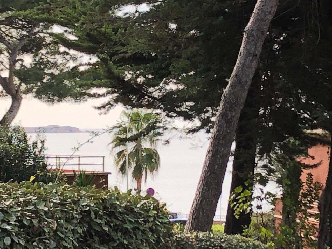 50M Plage T2 Grande Terrasse Vue Mer Climatise Piscine Chauffee, Parking Clos Gratuit Sanary-sur-Mer Eksteriør billede